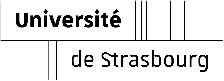 University of Strasbourg